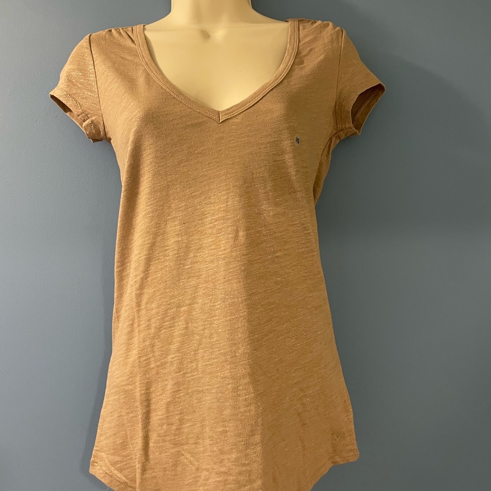 NWT. American Eagle Outfitters Shimmer V-Neck Tee - Brown/Tan